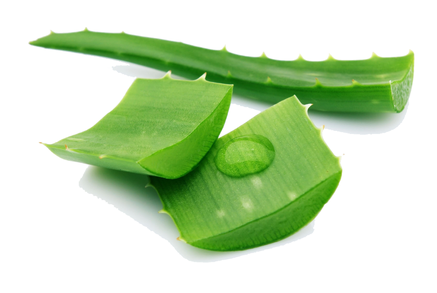 Aloevera Gel - 50 grams