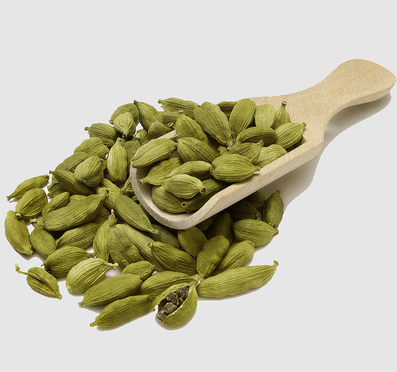 Cardamom Essential Oil